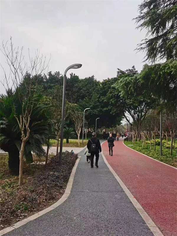 太阳能路灯